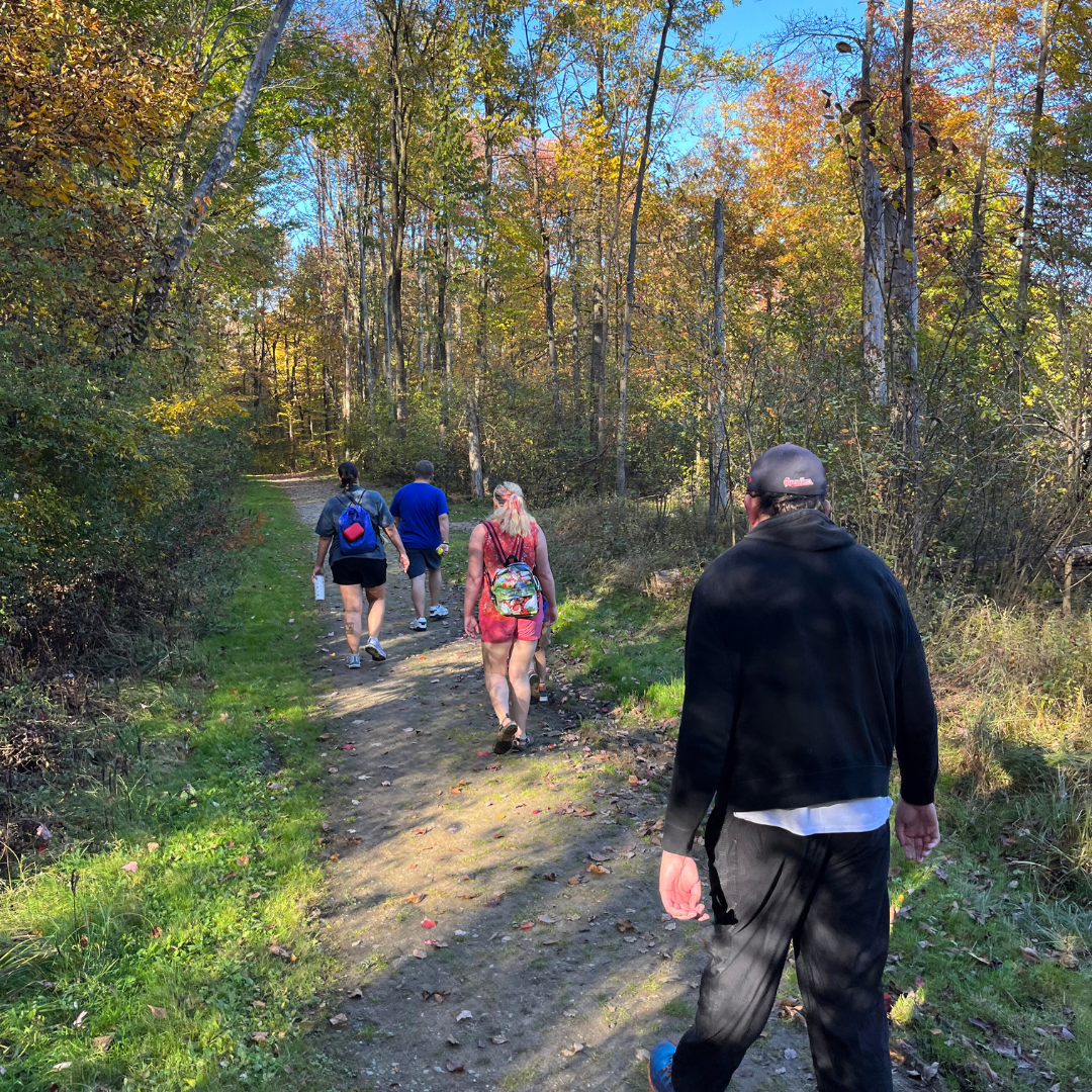 Four participants hiking in a park with trees